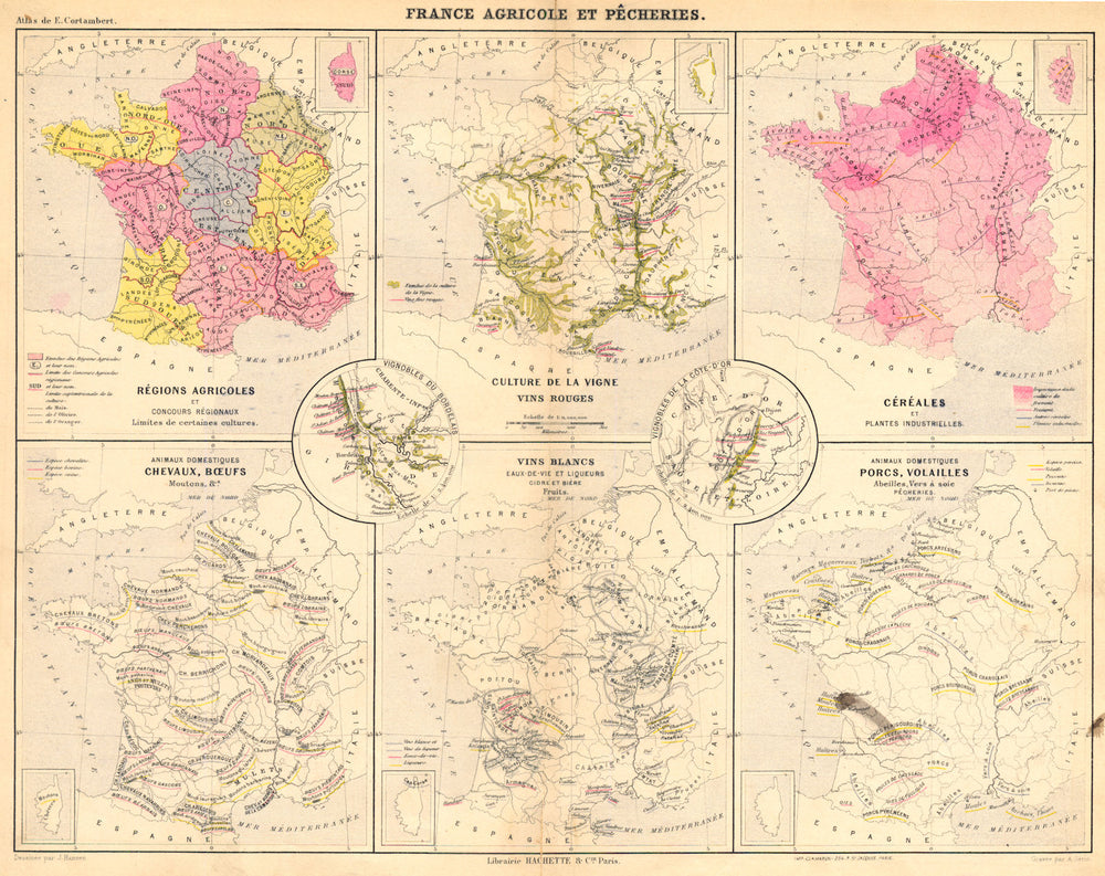 FRANCE.Agricole Pêcherie;vins Céréales Boeufs Moutons Bière Fruits porc 1880 map