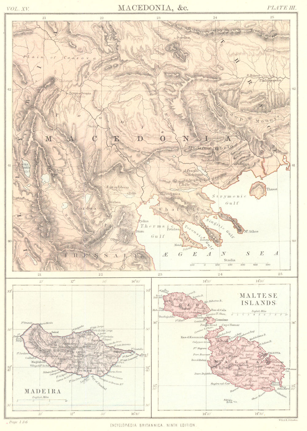 MACEDONIA MALTA MADEIRA. Maltese Islands Gozo.Britannica 9th edition 1898 map