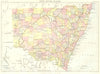 NEW SOUTH WALES. Australia. Showing counties. Britannica 9th edition 1898 map