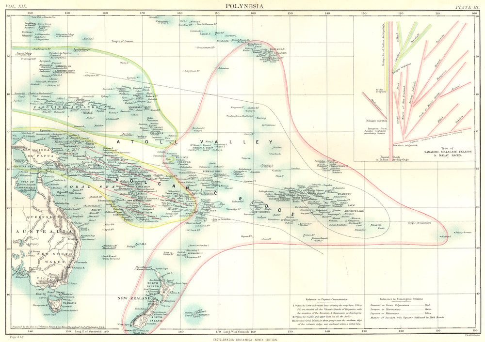 POLYNESIA OCEANIA. Inset tree of Sawaiori Malagasy Tarapon Malay races 1898 map