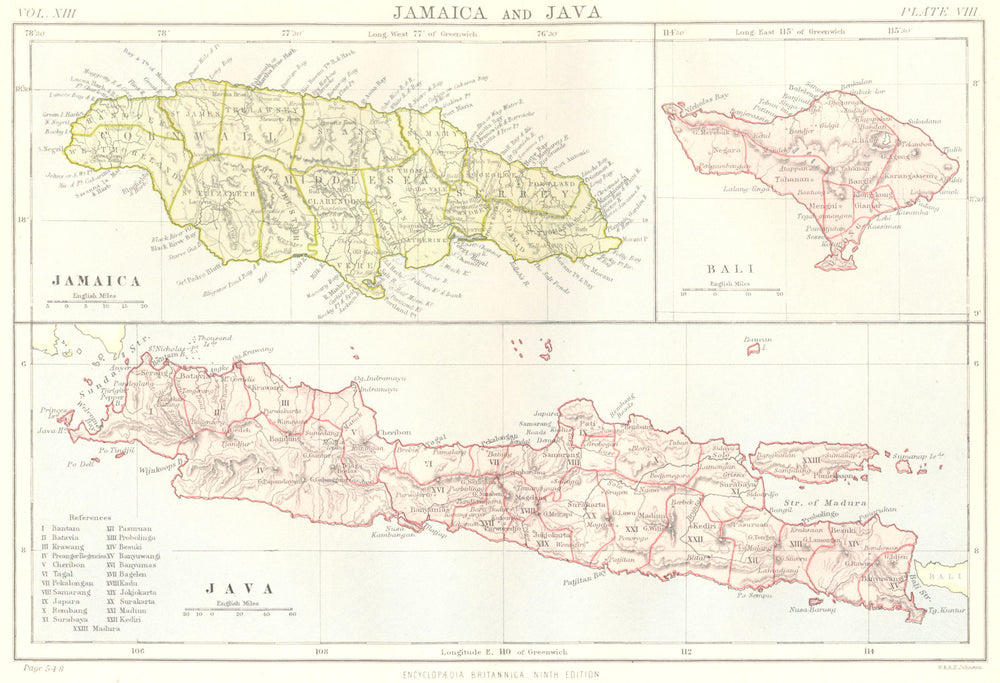 ISLANDS. Jamaica Java & Bali. Britannica 9th edition 1898 old antique map