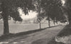 MOSELLE. Abreschviller- La route ombragée 1937 old vintage print picture