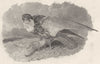 BIRDS. Hawk- The Hobby 1833 old antique vintage print picture