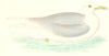BIRDS. Iceland Gull. Found in Europe. USA. Asia (Morris) 1880 old print