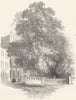 BRISTOL. College Green 1850 old antique vintage print picture