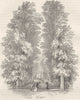GLOUCESTERSHIRE. Old Well Walk, Cheltenham 1850 antique print picture