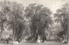 HAUTS- DE- SEINE. The Park of St. Cloud. Allom 1845 old antique print picture