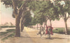 EGYPT. Cairo. On the Way to The Pyramids. Hand coloured. 1900 old print
