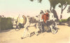 EGYPT. Cairo. On Drive. Hand coloured. 1900 old antique vintage print picture