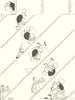 HEATH ROBINSON. The descent of Man. Falling down stairs. Darwin. SMALL 1935