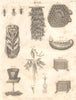 BEES & BEE-KEEPING. Hive, honeycomb. (Oxford Encyclopaedia) 1830 old print