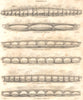 LONDON BRIDGES. London Southwark Blackfriars Waterloo Westminster Vauxhall 1830