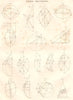 MATHEMATICS. Conic Sections II. (Oxford Encyclopaedia) 1830 old antique print