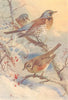 BRITISH BIRDS. Fieldfare Redwing. THORBURN 1925 old vintage print picture
