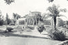 ADELAIDE. Palm House, Botanic Gardens 1900 old antique vintage print picture