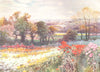 CHANNEL ISLANDS. Field of Chrysanthemums, Guernsey, November 16th, 1903 1904