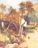 CHANNEL ISLANDS. Water Mill at Petit Bot, Guernsey 1904 old antique print
