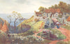 CHANNEL ISLANDS. Tardif's Cottage, Sark 1904 old antique vintage print picture