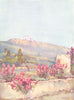 CANARY ISLANDS/ISLAS CANARIAS. Tenerife. The Peak, from Villa Orotava 1911