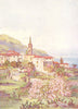 CANARY ISLANDS/ISLAS CANARIAS. Tenerife. Realejo Alto 1911 old antique print