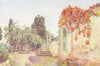 CANARY ISLANDS/ISLAS CANARIAS. Tenerife. Entrance to a Spanish Villa 1911