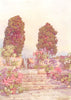 CANARY ISLANDS/ISLAS CANARIAS. Tenerife. Botanical Gardens, Orotava 1911 print