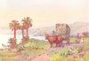 CANARY ISLANDS/ISLAS CANARIAS. Gran Canaria. A Banana Cart 1911 old print