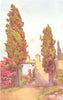 CANARY ISLANDS/ISLAS CANARIAS. Gran Canaria. An Old Gateway 1911 print