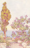 CANARY ISLANDS/ISLAS CANARIAS. A Spanish Garden 1911 old antique print picture