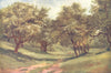 IRELAND. Leinster. A Hawthorn Glade, Phoenix Park. Deer. c1912 old print