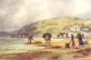 CONNAUGHT. Wrack (seaweed) gathering on the West Coast. Donkeys. c1912 print
