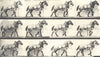 HORSES. Phases of the Cart Horse Walk 1912 old antique vintage print picture