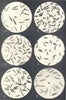 GRASS SEEDS. Aira flexuosa; Alopecurus pratensis agrestis; Arrhenatherum 1912