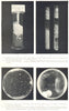 DAIRY BACTERIOLOGY. Renneted pure milk. Gas-forming organisms; Bacteria 1912
