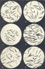 FESCUE GRASS SEEDS. Festuca duriuscula, elatior, ovina, pratensis, rubra 1912