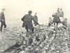 AGRICULTURAL MOTORS. Marshall's Motor Drawing 2 4-Furrow Ploughs 1912 print