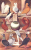 PIGEONS.Fantail.Magpie.Homer.Owl.Pouter.Carrier.Jacobin.Tumbler.Turbit 1912