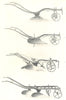 PLOUGHS.Howard Subsoil,Ridging,Expanding Double-furrow Ploug.Ransome Wrest 1912