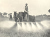 FARMING. Charlock-Spraying by Hand-Power from an Ordinary Farm-Cart 1912 print