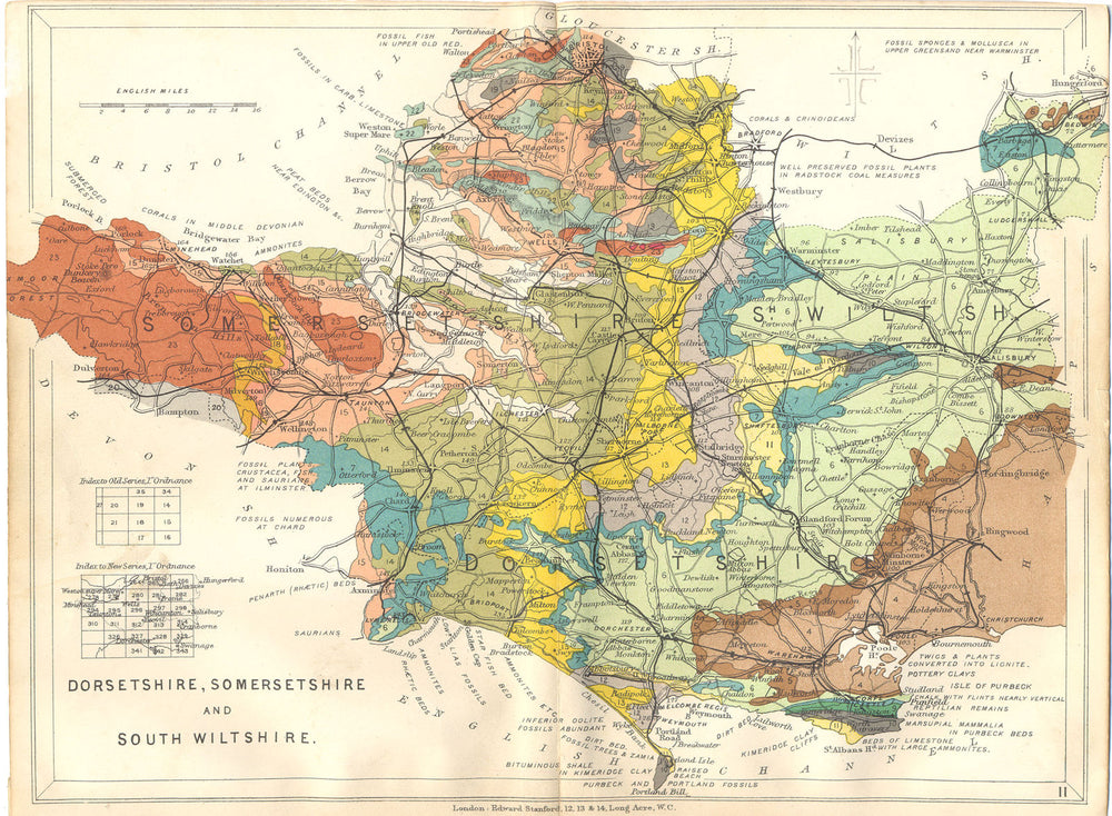 DORSET, SOMERSET AND SOUTH WILTSHIRE. Geological map. STANFORD 1880 old