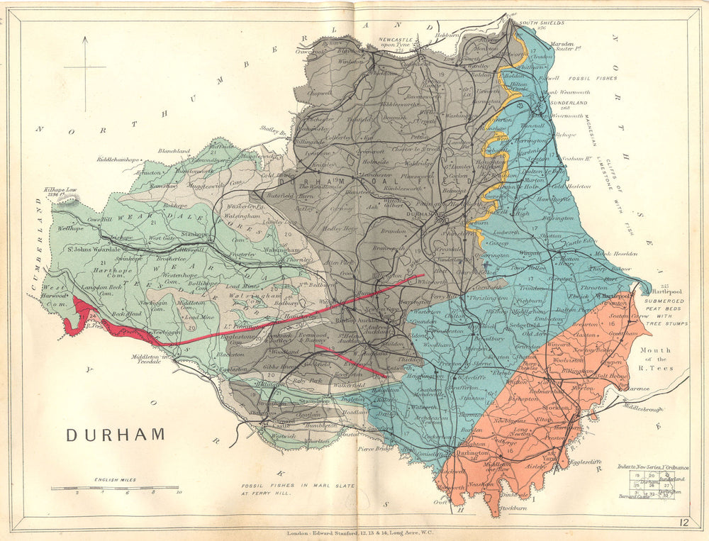 COUNTY DURHAM. Geological map. STANFORD 1880 old antique plan chart