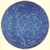 STAR MAP VIII. The Night Sky. July-August. Astronomy. PROCTOR 1884 old