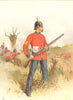 BRITISH ARMY UNIFORMS. The 35th – Royal Sussex Regiment 1890 old antique print