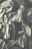CHILE. Copihue (Lapageria rosea) Flor sagrada Araucania. Sacred flower 1932