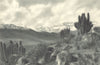 CHILE. Chalinga. Paisaje típico de Chile Central. Typical landscape 1932 print