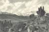 CHILE. Chalinga. Paisaje típico de Chile Central. Typical landscape 1932 print