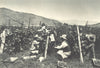 CHILE. Viña Tarapaca. Vendimia. Vina Tarapaca. Picking grapes 1932 old print