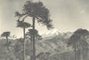 CHILE. Volcan Lonquimai visto desde el Paso de Arenales. Volcano 1932 print