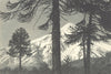 CHILE. Volcán Lanin. Volcano Lanin 1932 old vintage print picture