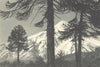 CHILE. Volcán Lanin. Volcano Lanin 1932 old vintage print picture
